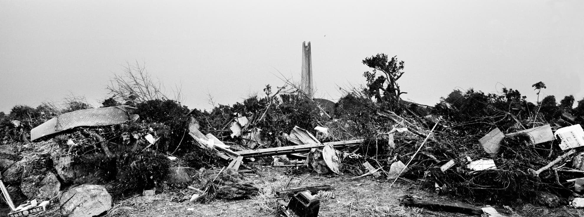 Yamada-cho, Japón, 2011.